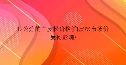 12公分的白皮松价格(白皮松市场价受何影响)