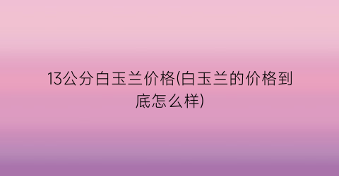 13公分白玉兰价格(白玉兰的价格到底怎么样)