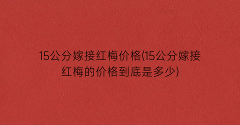 15公分嫁接红梅价格(15公分嫁接红梅的价格到底是多少)