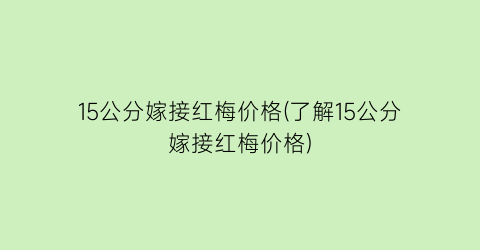 15公分嫁接红梅价格(了解15公分嫁接红梅价格)