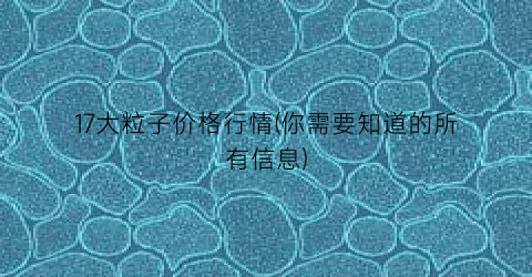 17大粒子价格行情(你需要知道的所有信息)