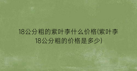 18公分粗的紫叶李什么价格(紫叶李18公分粗的价格是多少)
