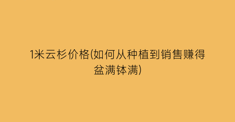 1米云杉价格(如何从种植到销售赚得盆满钵满)