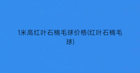 “1米高红叶石楠毛球价格(红叶石楠毛球)