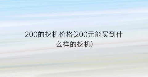 200的挖机价格(200元能买到什么样的挖机)