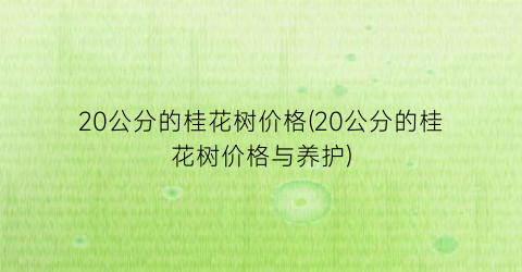 20公分的桂花树价格(20公分的桂花树价格与养护)