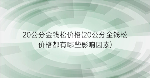 20公分金钱松价格(20公分金钱松价格都有哪些影响因素)