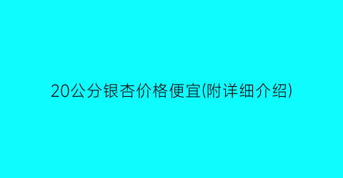 20公分银杏价格便宜(附详细介绍)