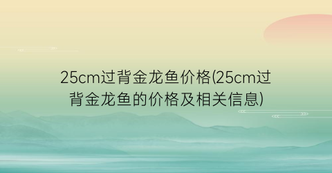 25cm过背金龙鱼价格(25cm过背金龙鱼的价格及相关信息)
