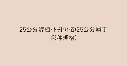 25公分嫁植朴树价格(25公分属于哪种规格)