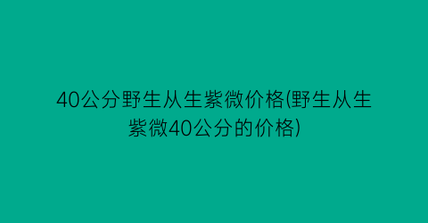 40公分野生从生紫微价格(野生从生紫微40公分的价格)