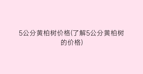 5公分黄柏树价格(了解5公分黄柏树的价格)
