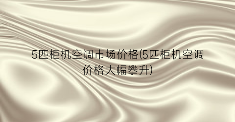 5匹柜机空调市场价格(5匹柜机空调价格大幅攀升)