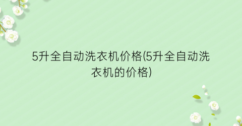 5升全自动洗衣机价格(5升全自动洗衣机的价格)