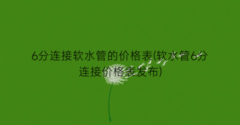 6分连接软水管的价格表(软水管6分连接价格表发布)