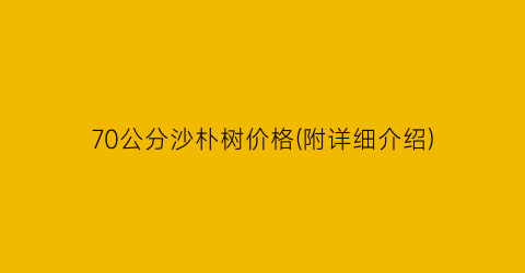 70公分沙朴树价格(附详细介绍)