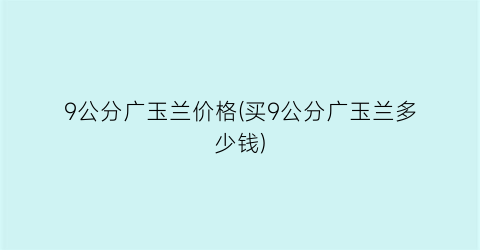 9公分广玉兰价格(买9公分广玉兰多少钱)