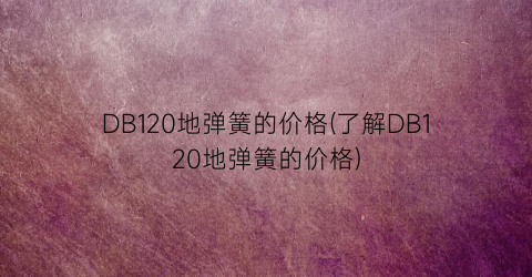 “DB120地弹簧的价格(了解DB120地弹簧的价格)