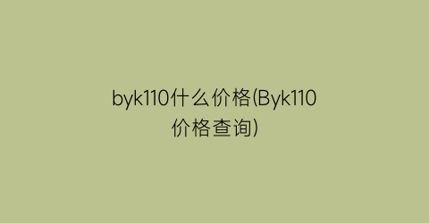 byk110什么价格(Byk110价格查询)