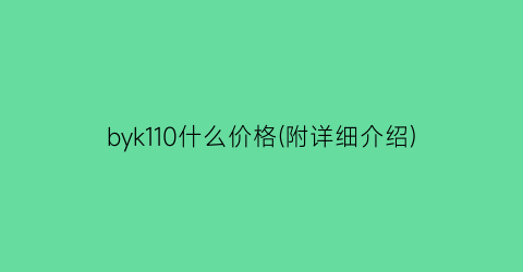 “byk110什么价格(附详细介绍)