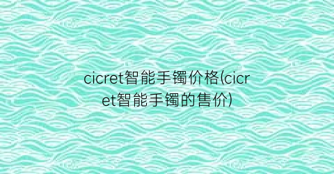 cicret智能手镯价格(cicret智能手镯的售价)