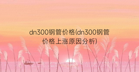 dn300钢管价格(dn300钢管价格上涨原因分析)
