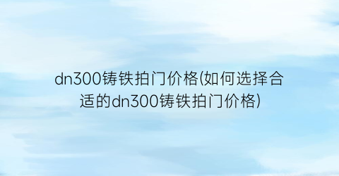 dn300铸铁拍门价格(如何选择合适的dn300铸铁拍门价格)