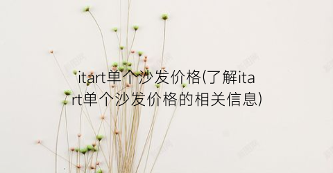 itart单个沙发价格(了解itart单个沙发价格的相关信息)