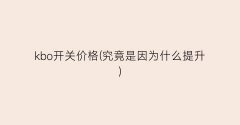 kbo开关价格(究竟是因为什么提升)