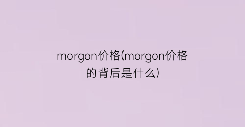 “morgon价格(morgon价格的背后是什么)