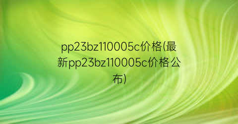pp23bz110005c价格(最新pp23bz110005c价格公布)