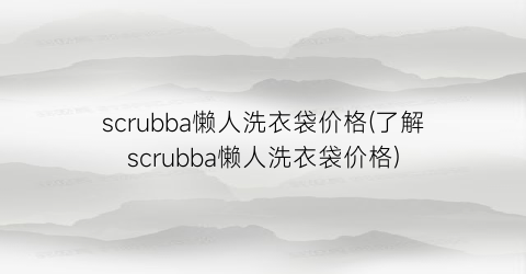 scrubba懒人洗衣袋价格(了解scrubba懒人洗衣袋价格)