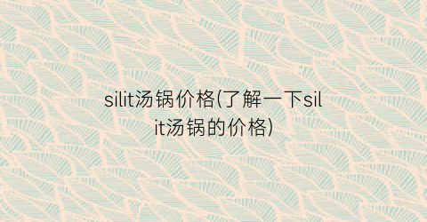silit汤锅价格(了解一下silit汤锅的价格)