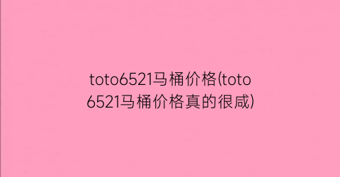 toto6521马桶价格(toto6521马桶价格真的很咸)