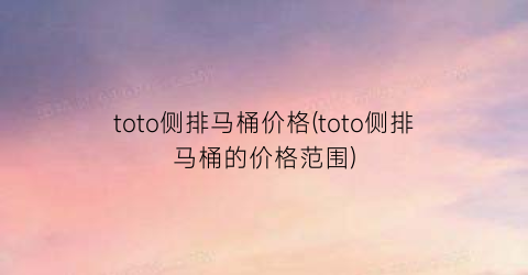 toto侧排马桶价格(toto侧排马桶的价格范围)