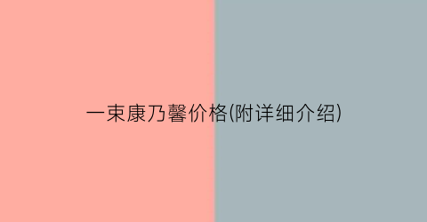 一束康乃馨价格(附详细介绍)