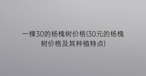 一棵30的杨槐树价格(30元的杨槐树价格及其种植特点)
