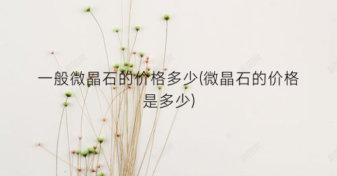 一般微晶石的价格多少(微晶石的价格是多少)