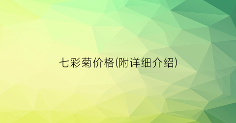 “七彩菊价格(附详细介绍)