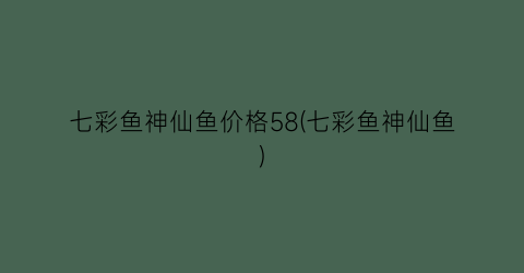 七彩鱼神仙鱼价格58(七彩鱼神仙鱼)