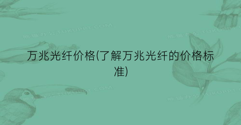 “万兆光纤价格(了解万兆光纤的价格标准)