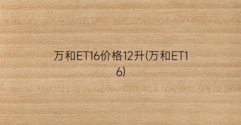 “万和ET16价格12升(万和ET16)