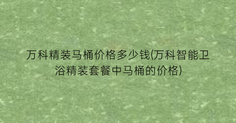 万科精装马桶价格多少钱(万科智能卫浴精装套餐中马桶的价格)