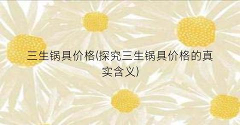 三生锅具价格(探究三生锅具价格的真实含义)