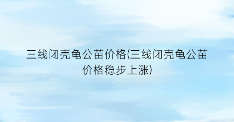 三线闭壳龟公苗价格(三线闭壳龟公苗价格稳步上涨)