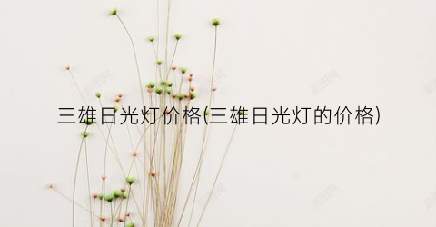 三雄日光灯价格(三雄日光灯的价格)