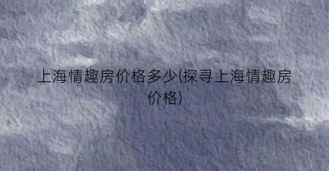 上海情趣房价格多少(探寻上海情趣房价格)