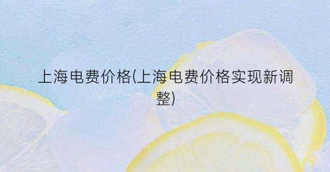 上海电费价格(上海电费价格实现新调整)