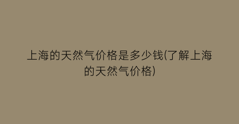 上海的天然气价格是多少钱(了解上海的天然气价格)