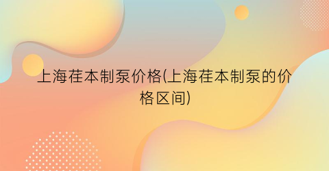 “上海荏本制泵价格(上海荏本制泵的价格区间)
